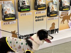 -帕帕拉兹宠物(亚洲旗舰店)