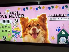 -黄满寨瀑布