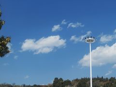 -洱海月湿地公园