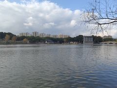 -南汇桃花村