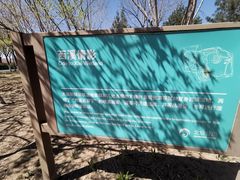 -大兴滨河森林公园