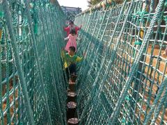 -广东茂名森林公园