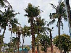 -大梅沙海滨公园