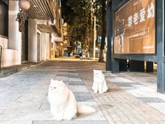 -奈雪的茶(石厦时代广场店)