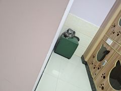 -瑞鹏宠物医院·内科·中兽医·骨科(苗圃店)