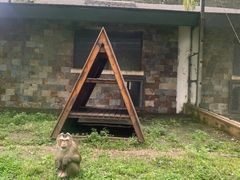 -哈尔滨北方森林动物园