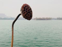 -济南大明湖景区