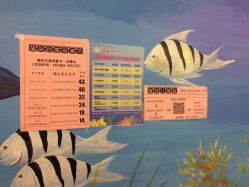 -蓓朵母婴生活馆(万科金域华庭店)