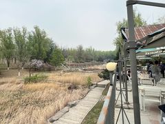 -青龙湖公园