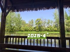 -溱湖国家湿地公园