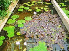 -北京植物园-展览温室