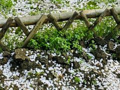 -白塘生态植物园