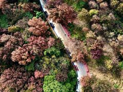 -广州市石门国家森林公园
