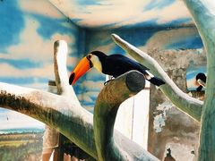 -石家庄市动物园