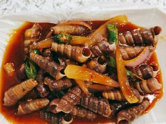 炒丁螺-蚝哥花姐湛江烤生蚝(美丽湾市场店)