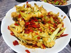 -壹盏灯(惠农店)