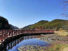 -广州市石门国家森林公园
