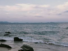-杨梅坑