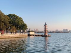 -无锡蠡湖国家湿地公园-蠡园