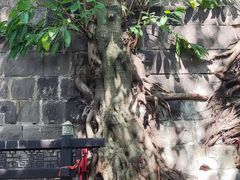 -涞滩古镇