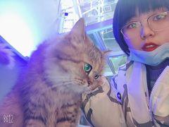 -极木²邸 人与宠物·互动社区