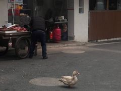 -晓芬叉烧圆子粉