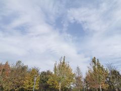 -西安浐灞国家湿地公园