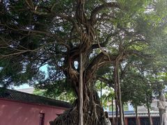 -闽粤南澳总镇府