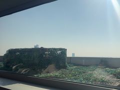 -洲际酒店·地平线全日餐厅HORIZON CAFÉ