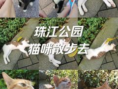 -广州珠江公园