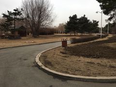 -长春公园(普阳街道)