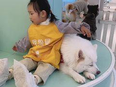 -怪兽屋·羊驼·猫咖·狗咖(俊华广场店)