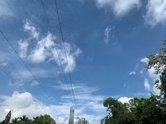 -晓港公园