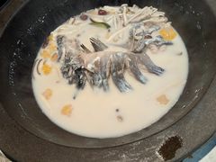 -鲜潭蒸汽石锅鱼(五道口购物中心店)