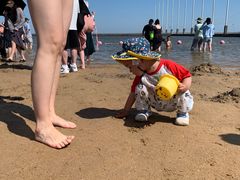-碧海金沙