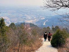 -北京西山国家森林公园