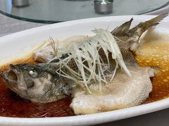 -金龙渔港(双楠店)