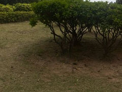 android_upload_pic-榴花公园