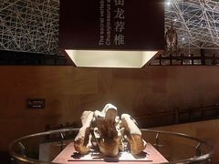 -世界恐龙谷景区