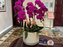 -东航云逸酒店(九溪烟树店)