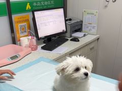 -半岛宠物医院24小时(科华中路店)