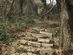 -平湖九龙山庄园圣马可酒店