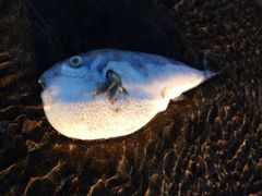 -嵊泗基湖沙滩