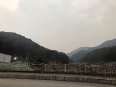 -天怡·鱼工厂(梅溪湖店)