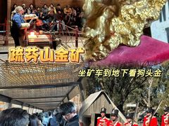 -疏芬山金矿