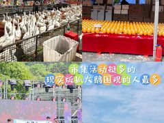 -龙寺生态园
