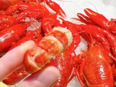 -红盔甲·小龙虾(定西路店)