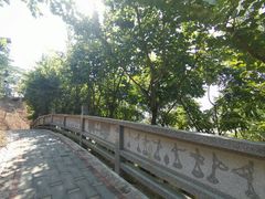 -白石龙音乐公园