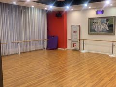 -北京红舞鞋少儿形体舞蹈教育(高新融侨城校区)