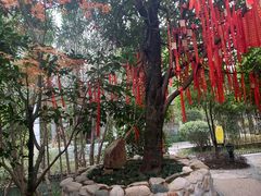 -深业半汤御泉庄温泉